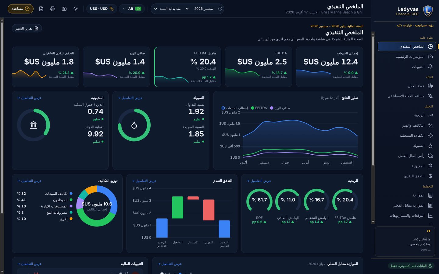 الملخص التنفيذي في Ledyvas CFO مع المبيعات وEBITDA والهامش وصافي الربح والتدفق النقدي